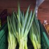 Poireaux