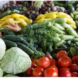 Panier légumes de saison
