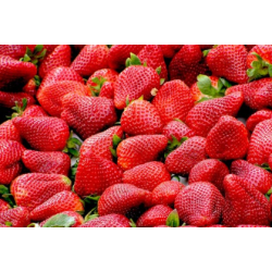 Fraises