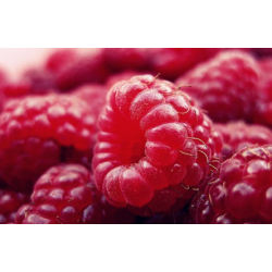 Framboises
