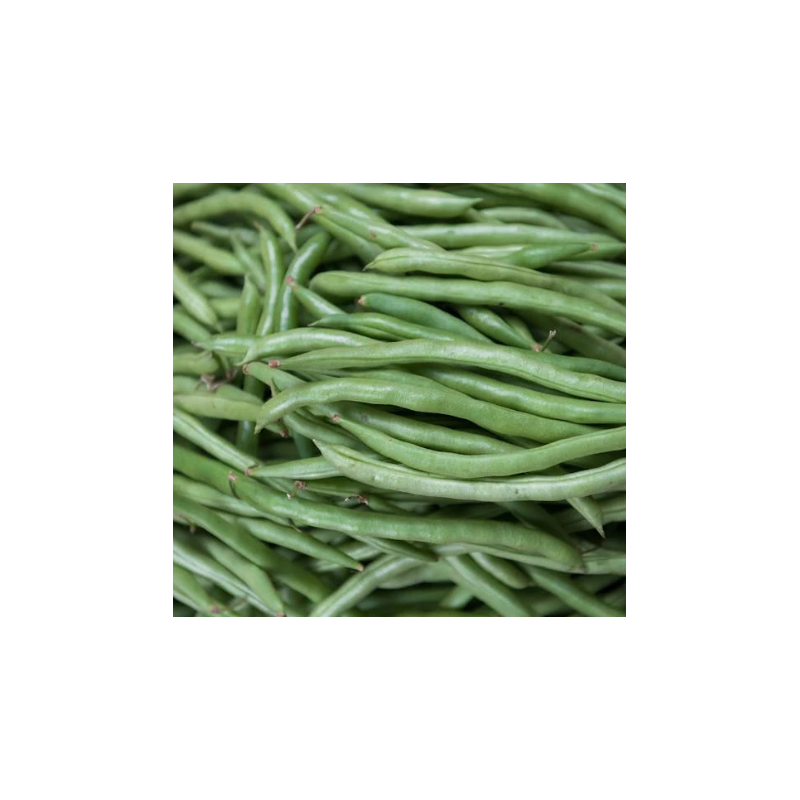 Haricots verts