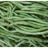 Haricots verts