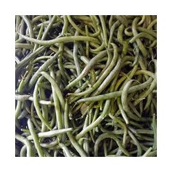 Haricots verts