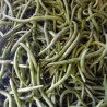 Haricots verts