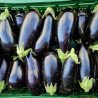 Aubergines
