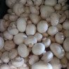 Champignons