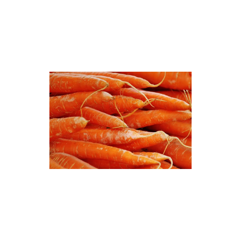 Carottes